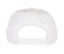 CLASSIC SNAPBACK
